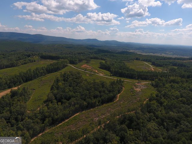 0 Johnson Mountain Road 7401-E, Rydal, GA 30171