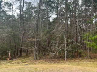 46 S Royale Greens Drive, Coldspring, TX 77331