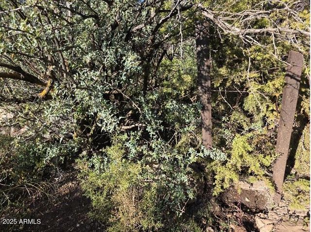 2062 E HORSESHOE SPRINGS Road, Globe, AZ 85501