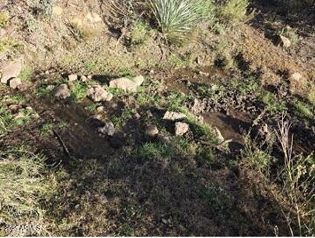 2062 E HORSESHOE SPRINGS Road, Globe, AZ 85501