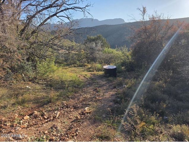 2062 E HORSESHOE SPRINGS Road, Globe, AZ 85501