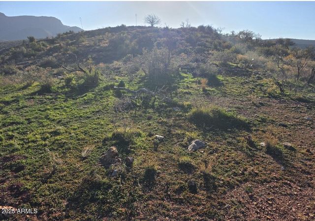 2062 E HORSESHOE SPRINGS Road, Globe, AZ 85501