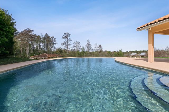 12811 BELLERIVE DRIVE, Clermont, FL 34711