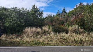 737 Ocean Shores Boulevard SW, Ocean Shores, WA 98569