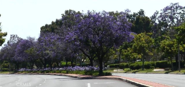 11 Via Pausa, Rancho Santa Margarita, CA 92688