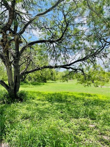 5742 Hidden Valley Loop, Sandia, TX 78383