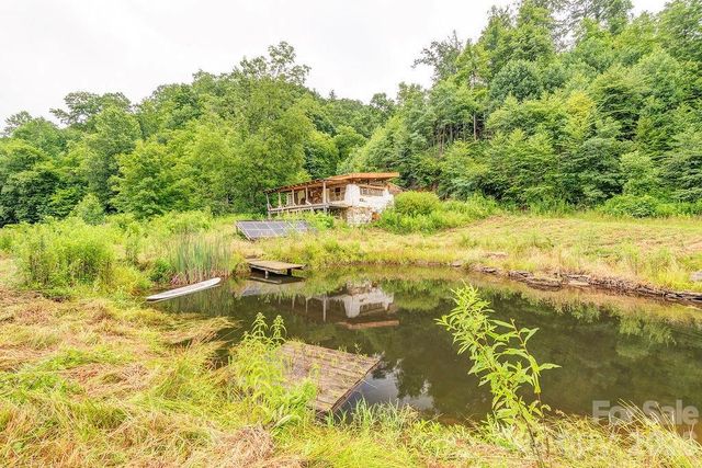 8485 Meadow Fork Road, Hot Springs, NC 28743