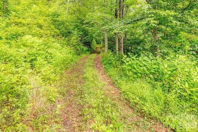 8485 Meadow Fork Road, Hot Springs, NC 28743