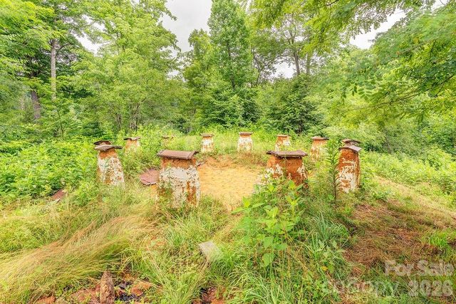 8485 Meadow Fork Road, Hot Springs, NC 28743