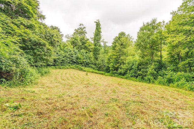 8485 Meadow Fork Road, Hot Springs, NC 28743