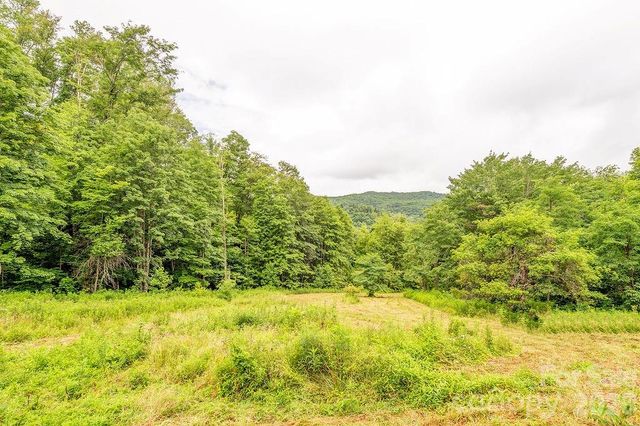 8485 Meadow Fork Road, Hot Springs, NC 28743