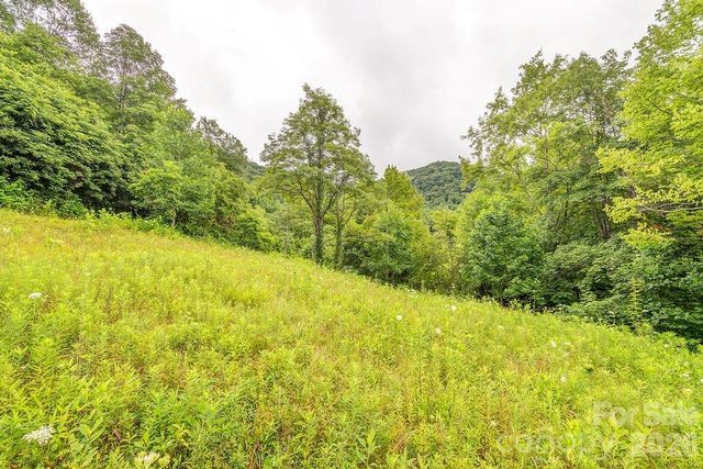 8485 Meadow Fork Road, Hot Springs, NC 28743