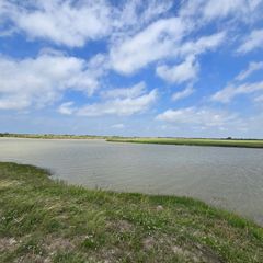3060 Coastal Springs Loop, Palacios, TX 77465