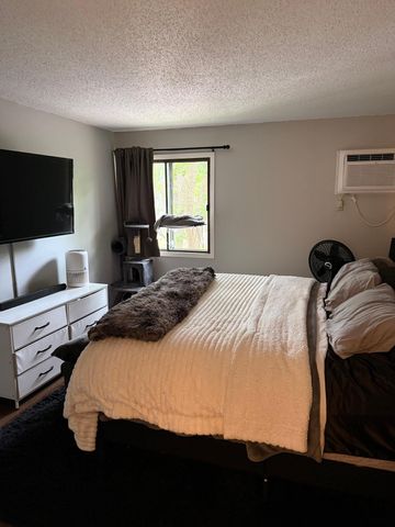 5627 Green Circle Drive 219, Hopkins, MN 55343