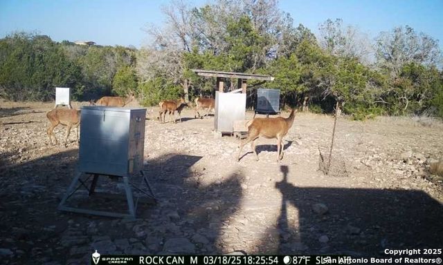 3190 Sd 24910, Rocksprings, TX 78880