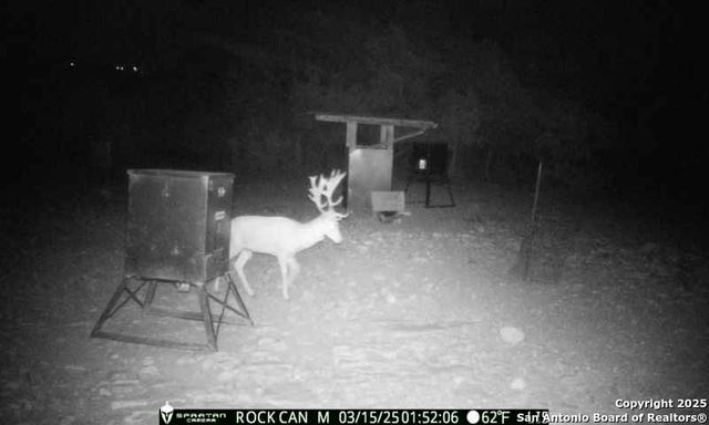 3190 Sd 24910, Rocksprings, TX 78880