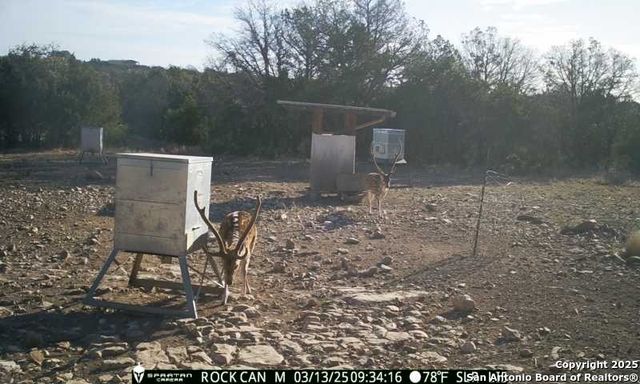 3190 Sd 24910, Rocksprings, TX 78880