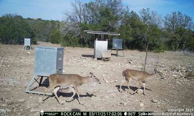 3190 Sd 24910, Rocksprings, TX 78880