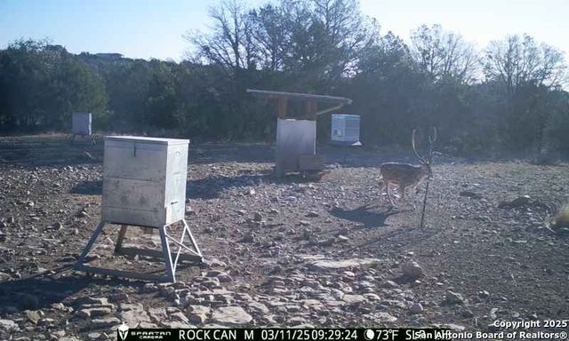 3190 Sd 24910, Rocksprings, TX 78880