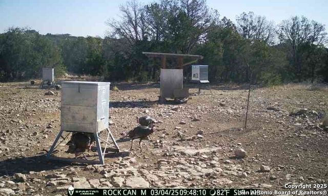 3190 Sd 24910, Rocksprings, TX 78880