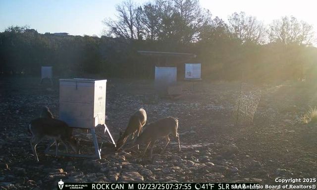 3190 Sd 24910, Rocksprings, TX 78880