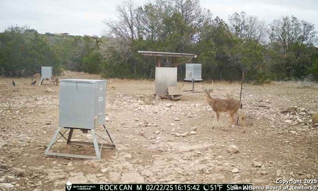 3190 Sd 24910, Rocksprings, TX 78880