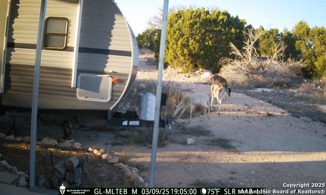 3190 Sd 24910, Rocksprings, TX 78880