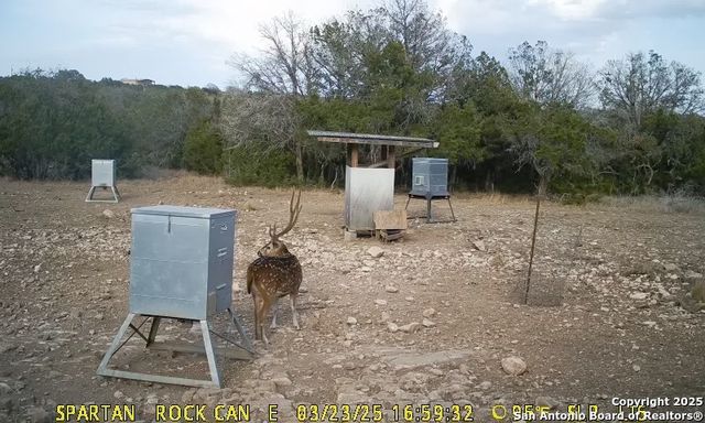 3190 Sd 24910, Rocksprings, TX 78880