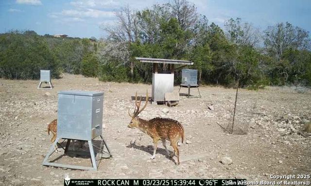 3190 Sd 24910, Rocksprings, TX 78880