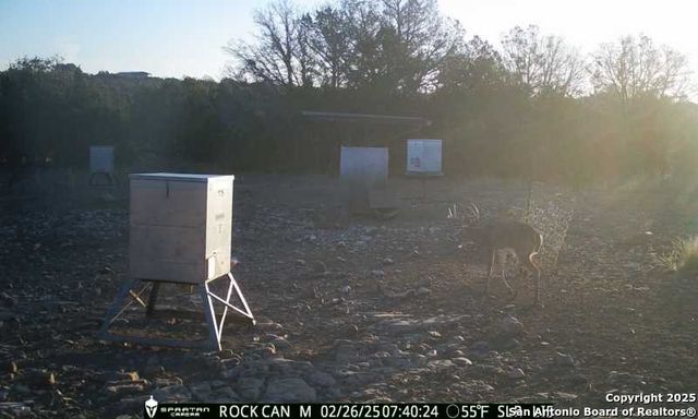 3190 Sd 24910, Rocksprings, TX 78880