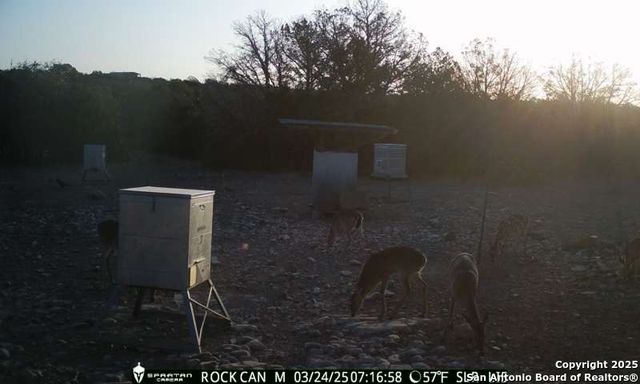 3190 Sd 24910, Rocksprings, TX 78880