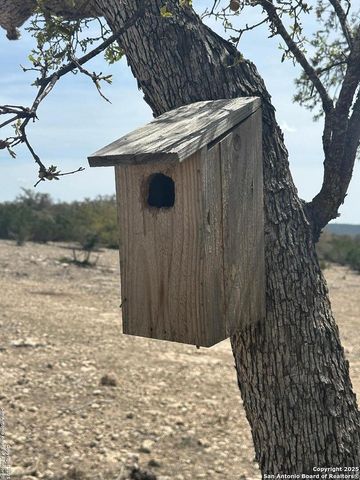 3190 Sd 24910, Rocksprings, TX 78880