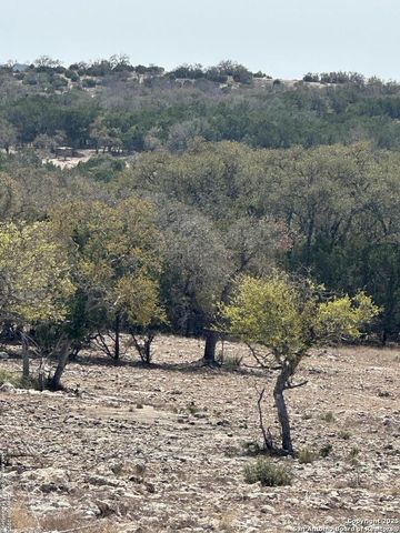 3190 Sd 24910, Rocksprings, TX 78880