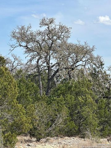 3190 Sd 24910, Rocksprings, TX 78880