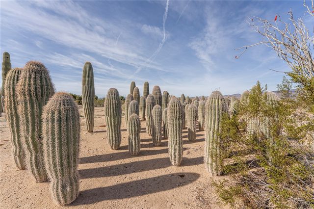 14158 S Calabasas Road, Yucca, AZ 86438