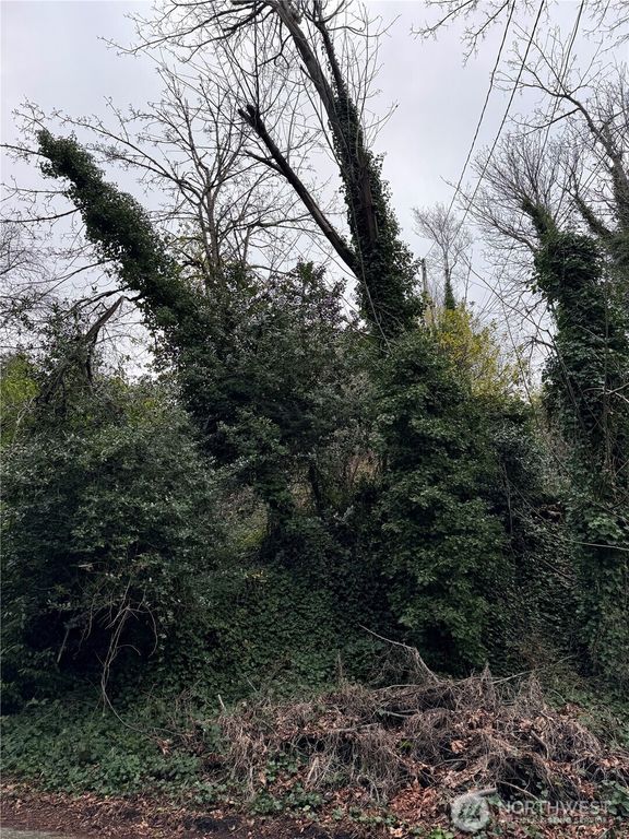 19 XX 32nd Avenue W, Seattle, WA 98199