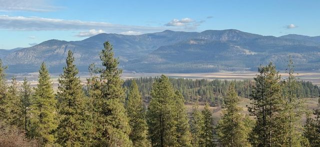 XXX Farm to Market Loop Rd, Chewelah, WA 99109 property photo