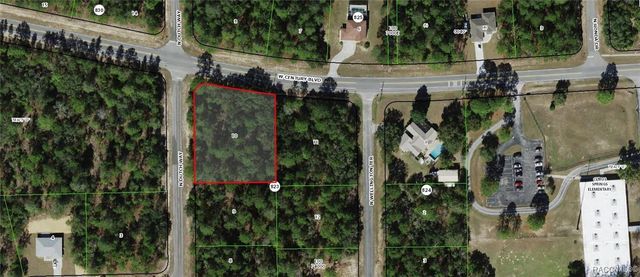 3776 W Century Boulevard, Citrus Springs, FL 34433