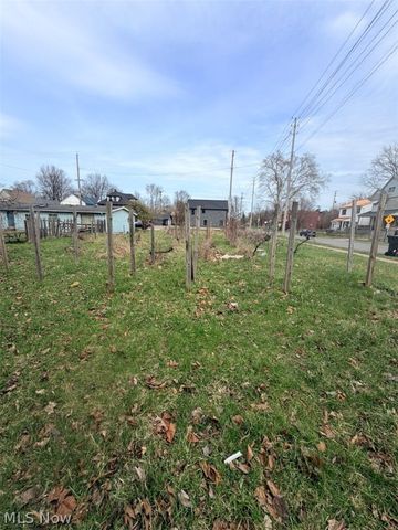 1426 E 115th Street, Cleveland, OH 44106