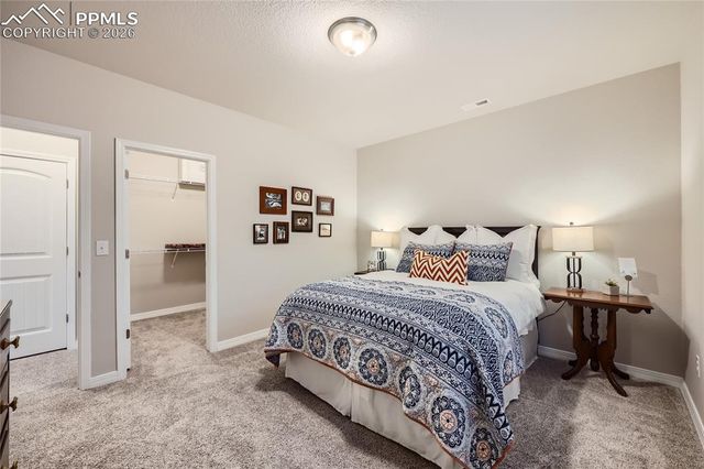 10272 Finn Drive, Colorado Springs, CO 80924