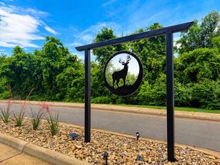 426 Deer Point Cove, Chandler, TX 75758