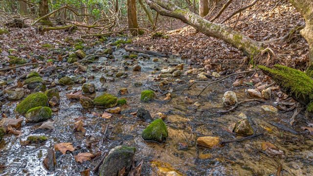 327 Hooch Holler Lane, Morganton, GA 30560