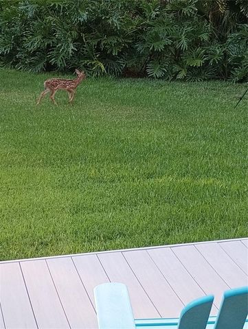 372 WEKIVA PARK DRIVE, Sanford, FL 32771