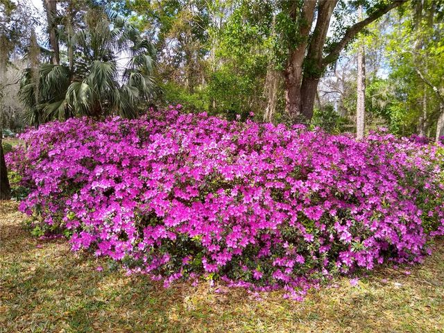 372 WEKIVA PARK DRIVE, Sanford, FL 32771