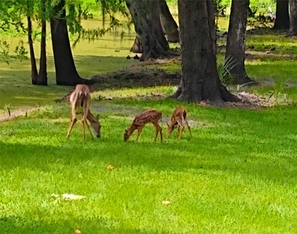 372 WEKIVA PARK DRIVE, Sanford, FL 32771