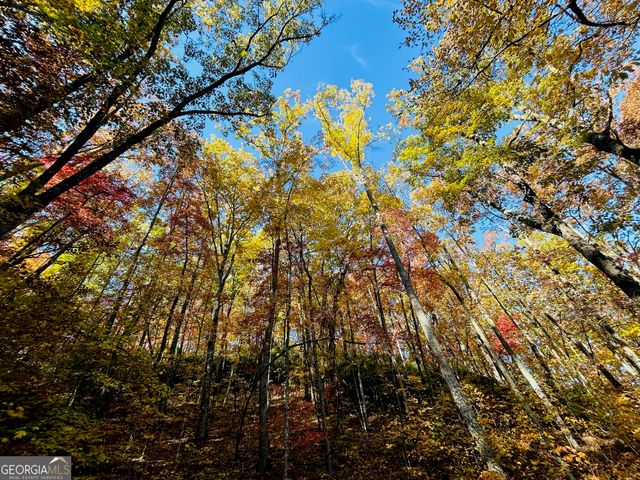 1306 Hot House Road, Hayesville, NC 28904