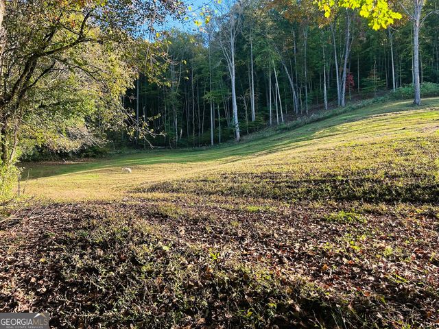 1306 Hot House Road, Hayesville, NC 28904