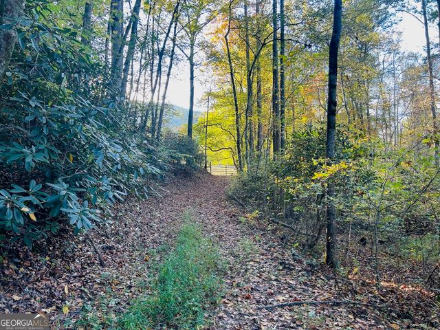 1306 Hot House Road, Hayesville, NC 28904