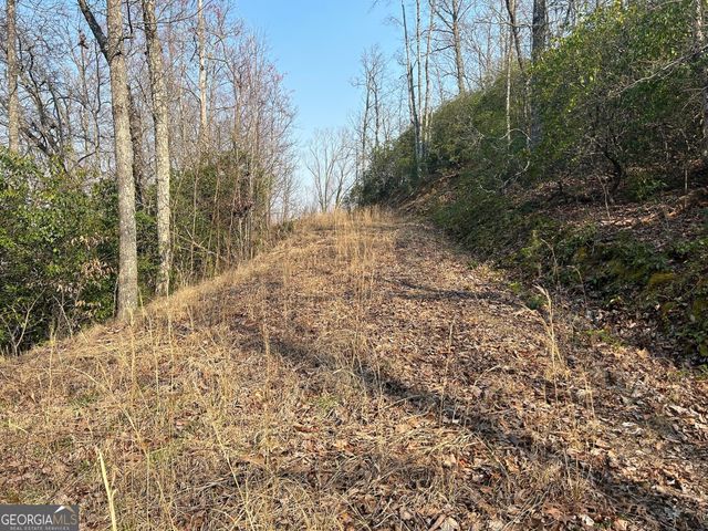 1306 Hot House Road, Hayesville, NC 28904