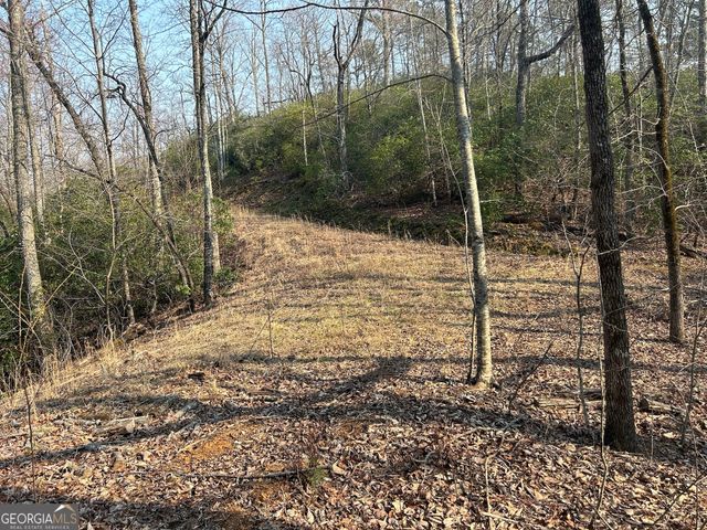 1306 Hot House Road, Hayesville, NC 28904